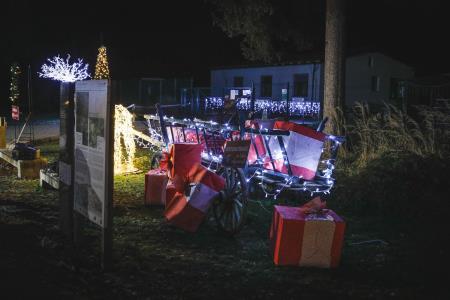 Božiček in žive jaslice (42)